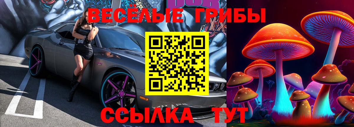 Псилоцибиновые грибы Cubensis  Галлюциногенные грибы MAGIC MUSHROOMS  Вход с VPN  Верхняя Пышма 